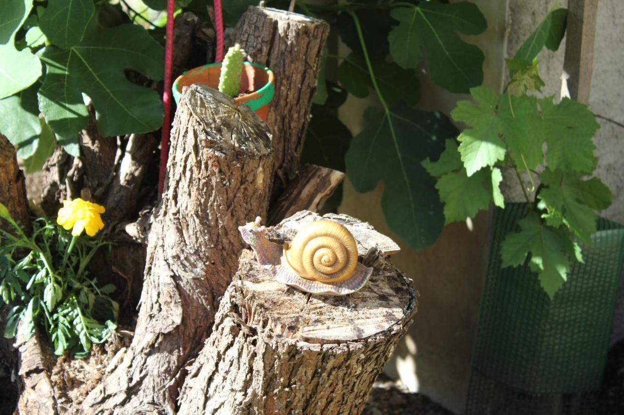 Gite Le Cep D'Or Alsace Saint-Hippolyte  Buitenkant foto